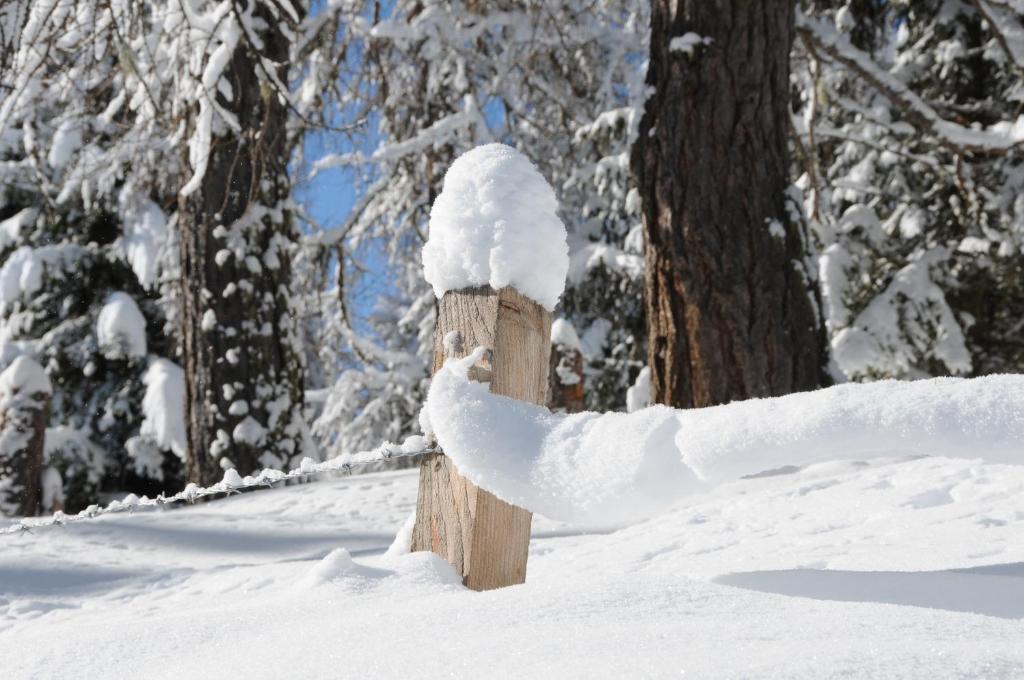 Mecki'S Dolomiten Panorama Stubn Debant 部屋 写真